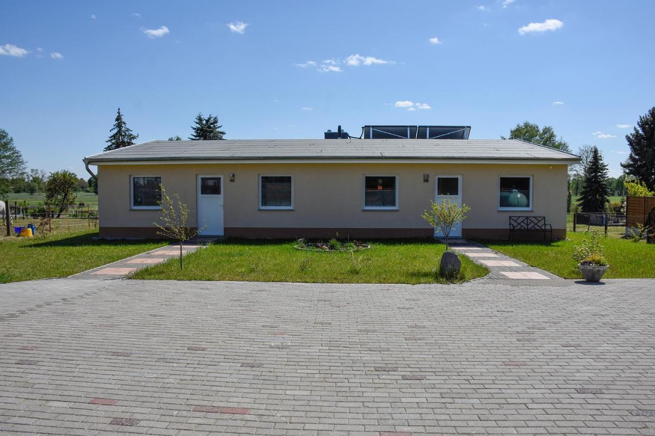 Barrierefreie Ferienwohnung Trueben Bornum Extérieur photo